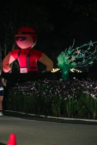 BIB: 
                            <button type="button" onclick="openModal(27343114)" class="btn btn-primary btn-sm float-right btn-popup" data-toggle="modal" data-target=".modal-high-quality">
                        <i class="fas fa-shopping-cart"></i> Add to Cart
                    </button>
                                            <button type="button" onclick="isThisMe(27343114, true)" class="btn btn-success btn-sm float-right btn-popup btn-isme hidden" data-toggle="tooltip" data-placement="bottom" title="นี่คือรูปของคุณใช่ไหม คลิกที่นี่เพื่อเอาเข้าอัลบั้ม">
                        <i class="fas fa-plus"></i> Add to album
                    </button>
                    <button type="button" onclick="isThisMe(27343114, false)" class="btn btn-warning btn-sm float-right btn-popup btn-isnotme hidden">
                        <i class="fas fa-ban"></i> Remove from album
                    </button>